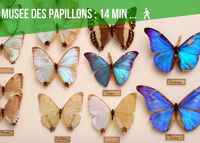 Comme A La Maison - Bellevue *